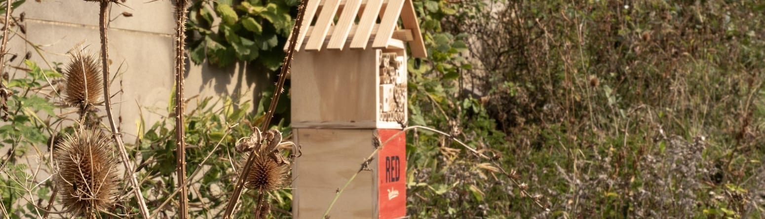 Radisson RED Liverpool - Bee Hotels at World Museum