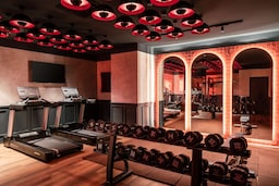Radisson RED Madrid - Fitness center