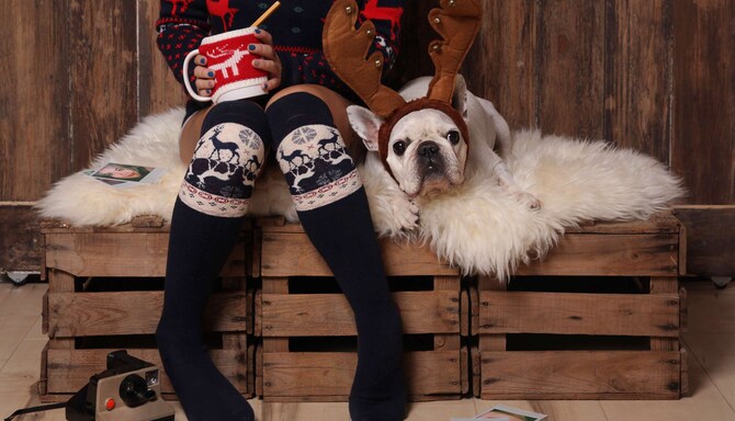 Radisson RED Seasonal Offers - Christmas coziness