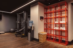 Radisson RED Tbilisi - Fitness