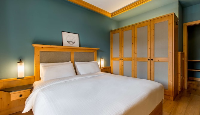Radisson Residences Savoia Palace Cortina d'Ampezzo - Apartment