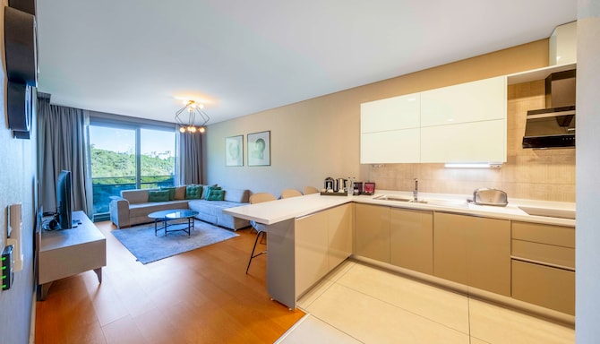 Radisson Residences Vadistanbul - Apartment kitchen