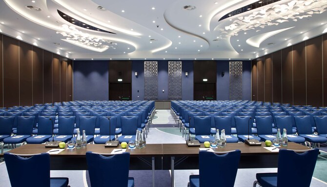 Radisson Residences, Zavidovo - Conference
