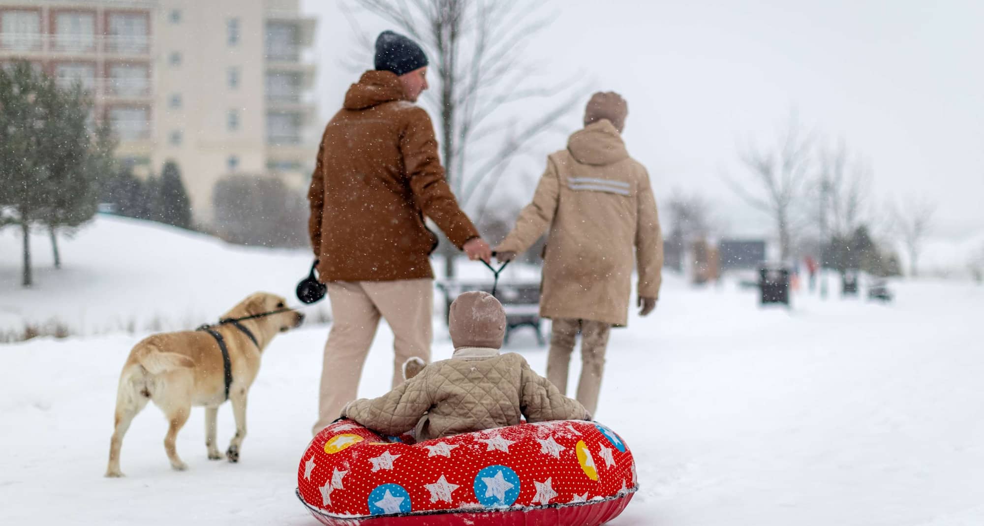 Radisson Residences, Zavidovo - Winter holidays