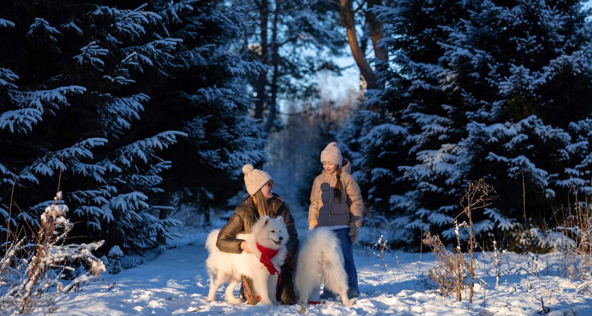 Radisson Residences, Zavidovo