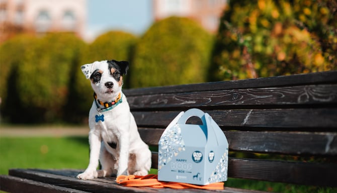Radisson Residences, Zavidovo - Dogs roof box
