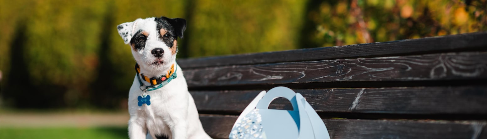 Radisson Residences, Zavidovo - Dogs roof box