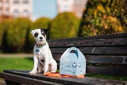 Radisson Residences, Zavidovo - Dogs roof box