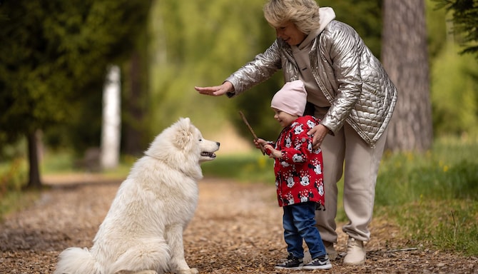 Radisson Residences, Zavidovo - Activities