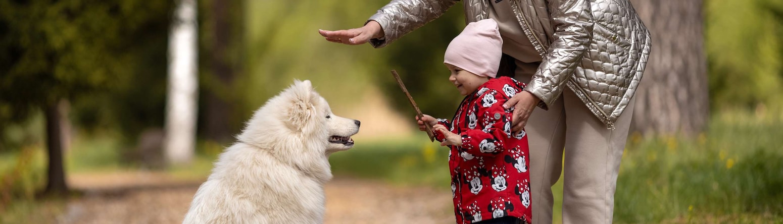 Radisson Residences, Zavidovo - Activities