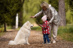 Radisson Residences, Zavidovo - Activities