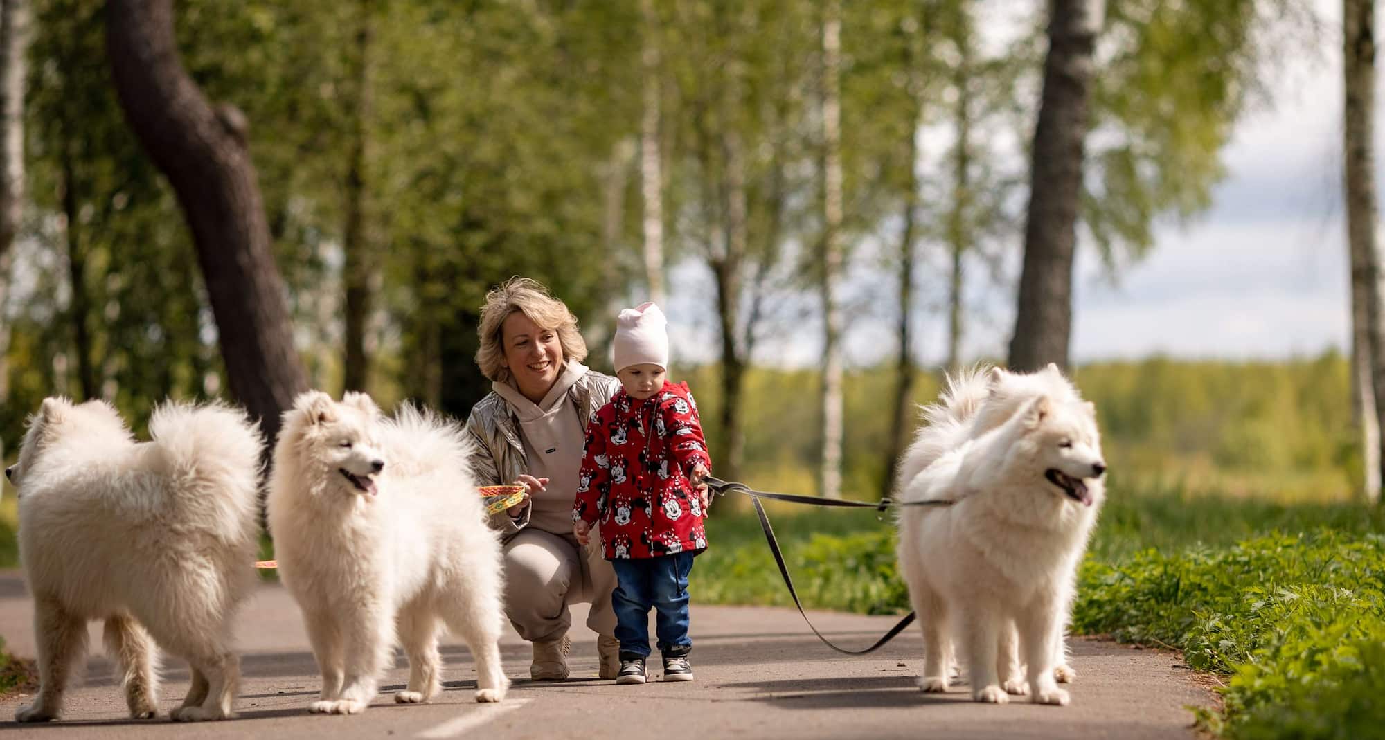 Radisson Residences, Zavidovo - Activities