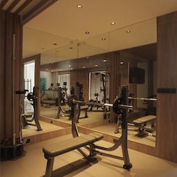Radisson Resort Hatgad Saputara - GYM
