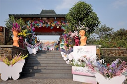 Radisson Resort Hatgad Saputara - Wedding