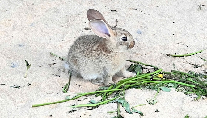 Radisson Resort Mui Ne