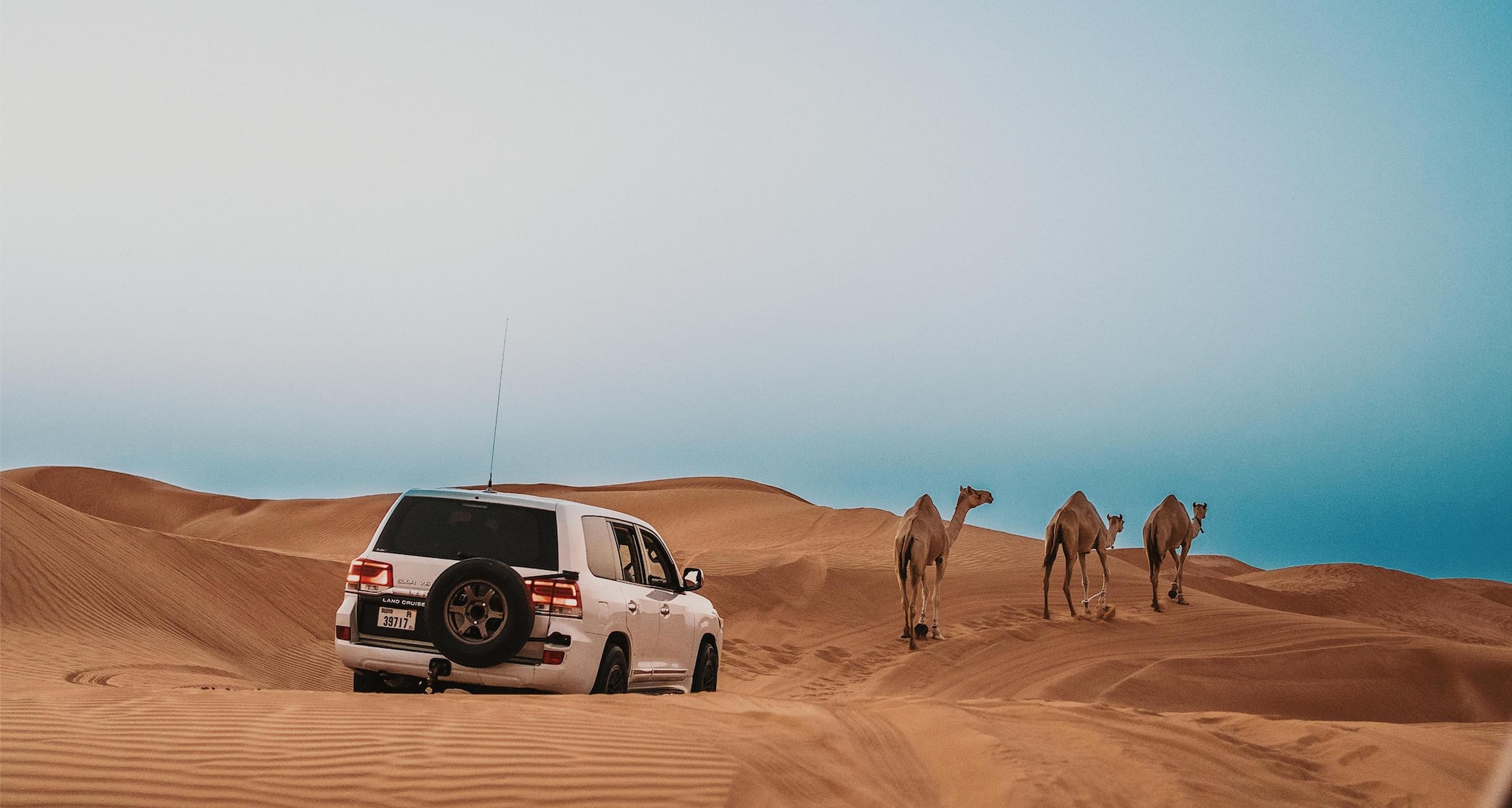 Radisson Resort Ras Al Khaimah Marjan Island - Desert Safari