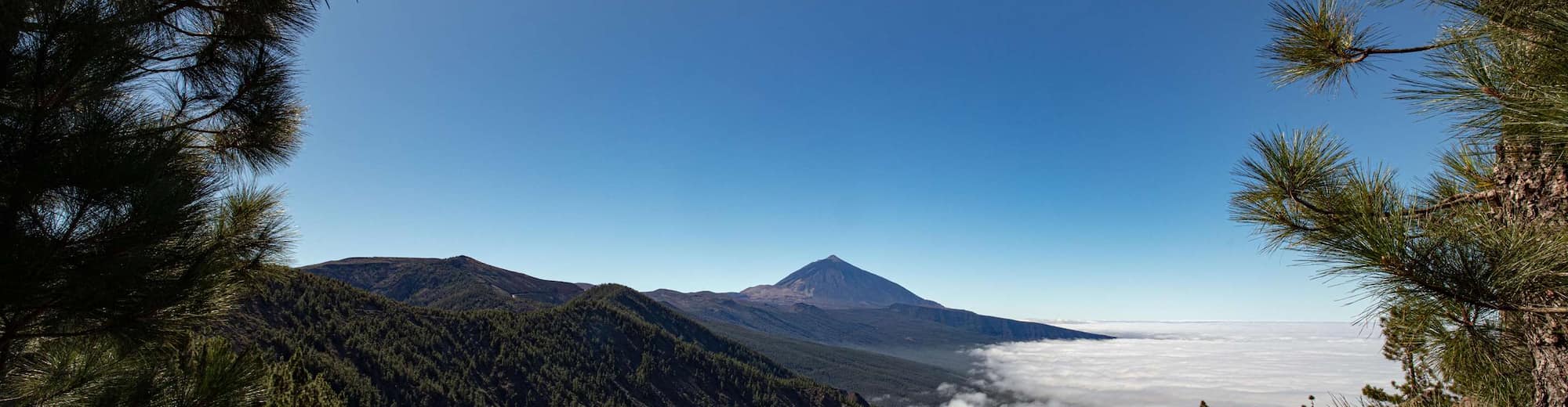 Radisson Resort and Residences Tenerife - Teide - Photo: Turismo de Tenerife