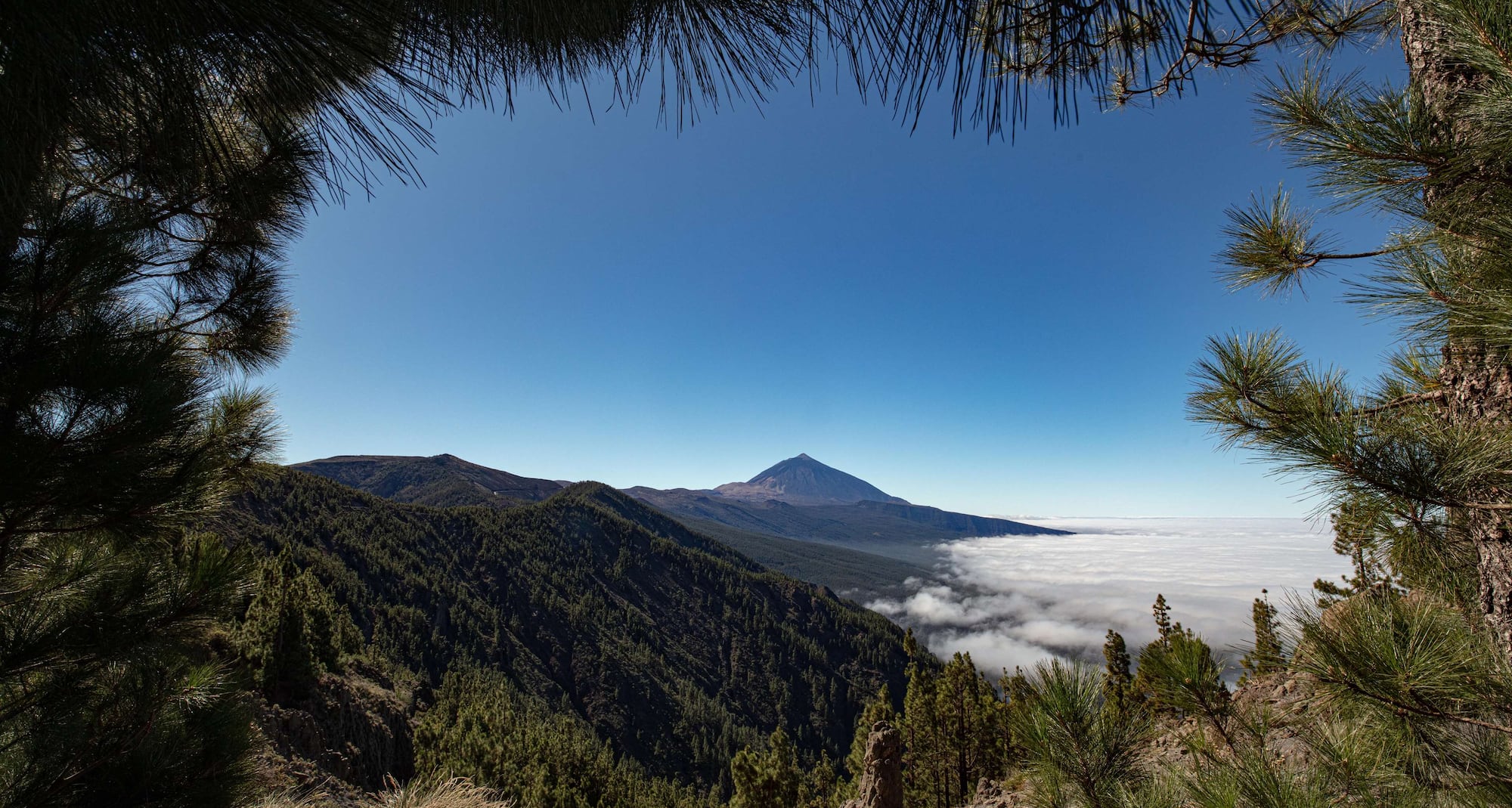 Radisson Resort & Residences Tenerife - Teide - Photo: Turismo de Tenerife