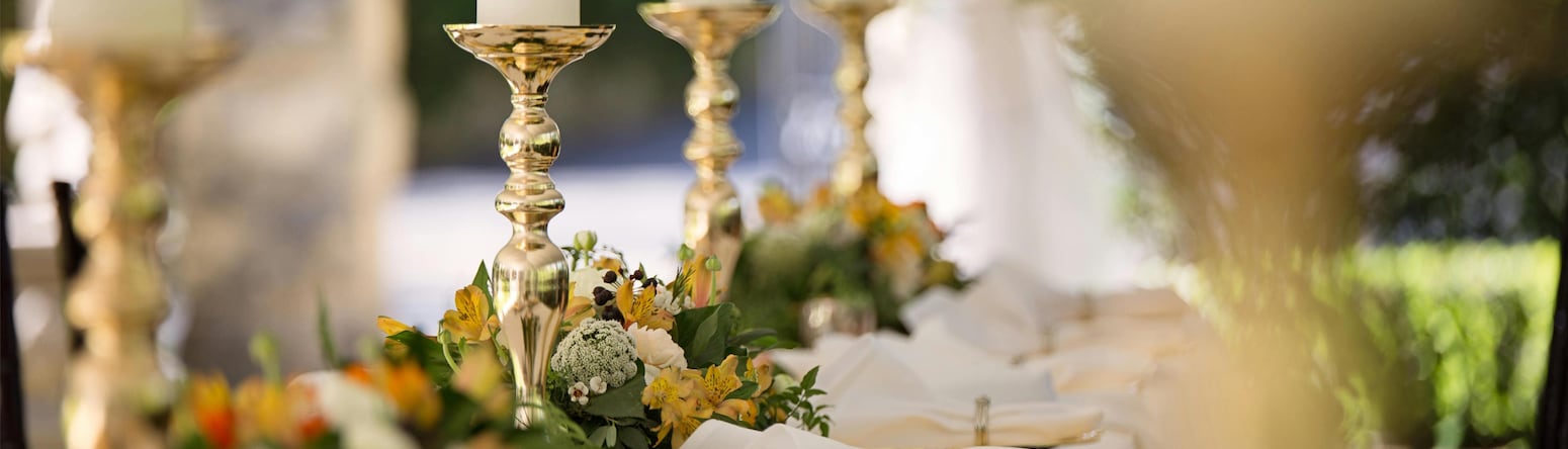 Radisson Resort Ruza Vjetrova - Wedding Unique Venues