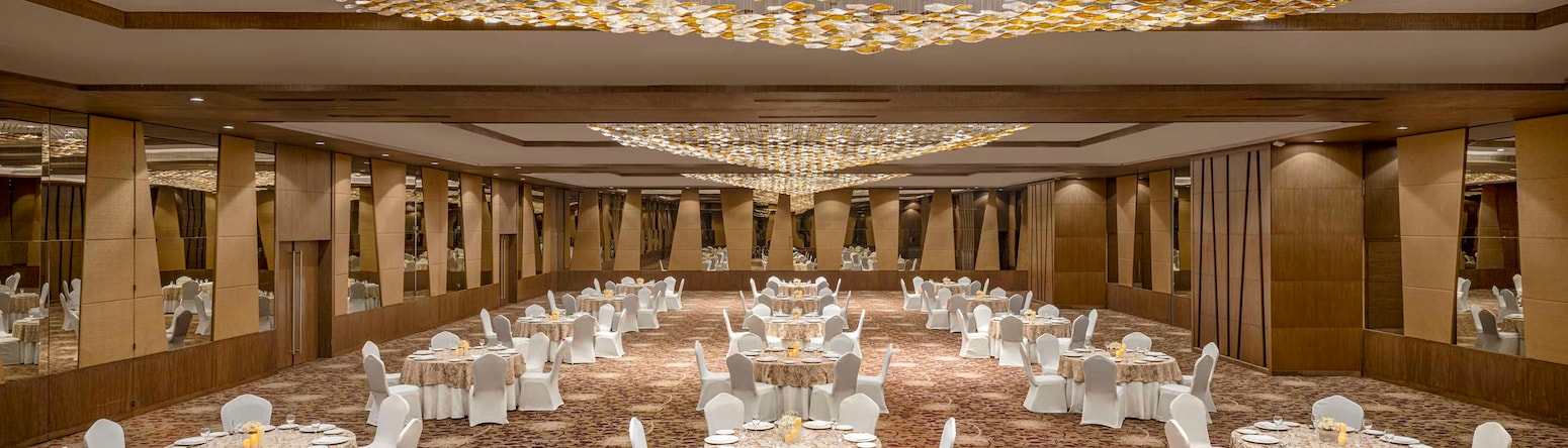Radisson Hotel Kandla - Ballroom