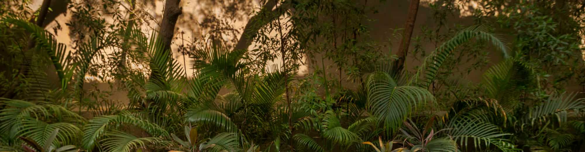 Radisson Resort and Spa Kandla - Villa