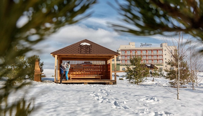 Radisson Resort, Zavidovo - барбекю в саду зимой