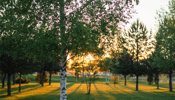 Radisson Resort, Zavidovo - The territory of the hotel