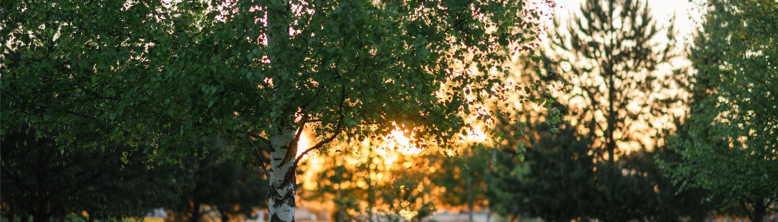 Radisson Resort, Zavidovo - The territory of the hotel