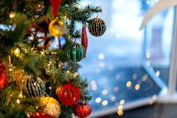 Radisson Resort, Zavidovo - Christmas decoration