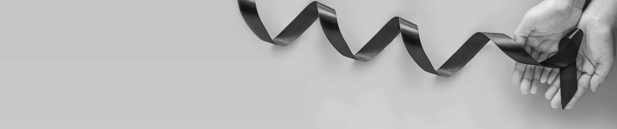 Radisson Rewards - Donation page Red Cressnt MerchendizingBanner