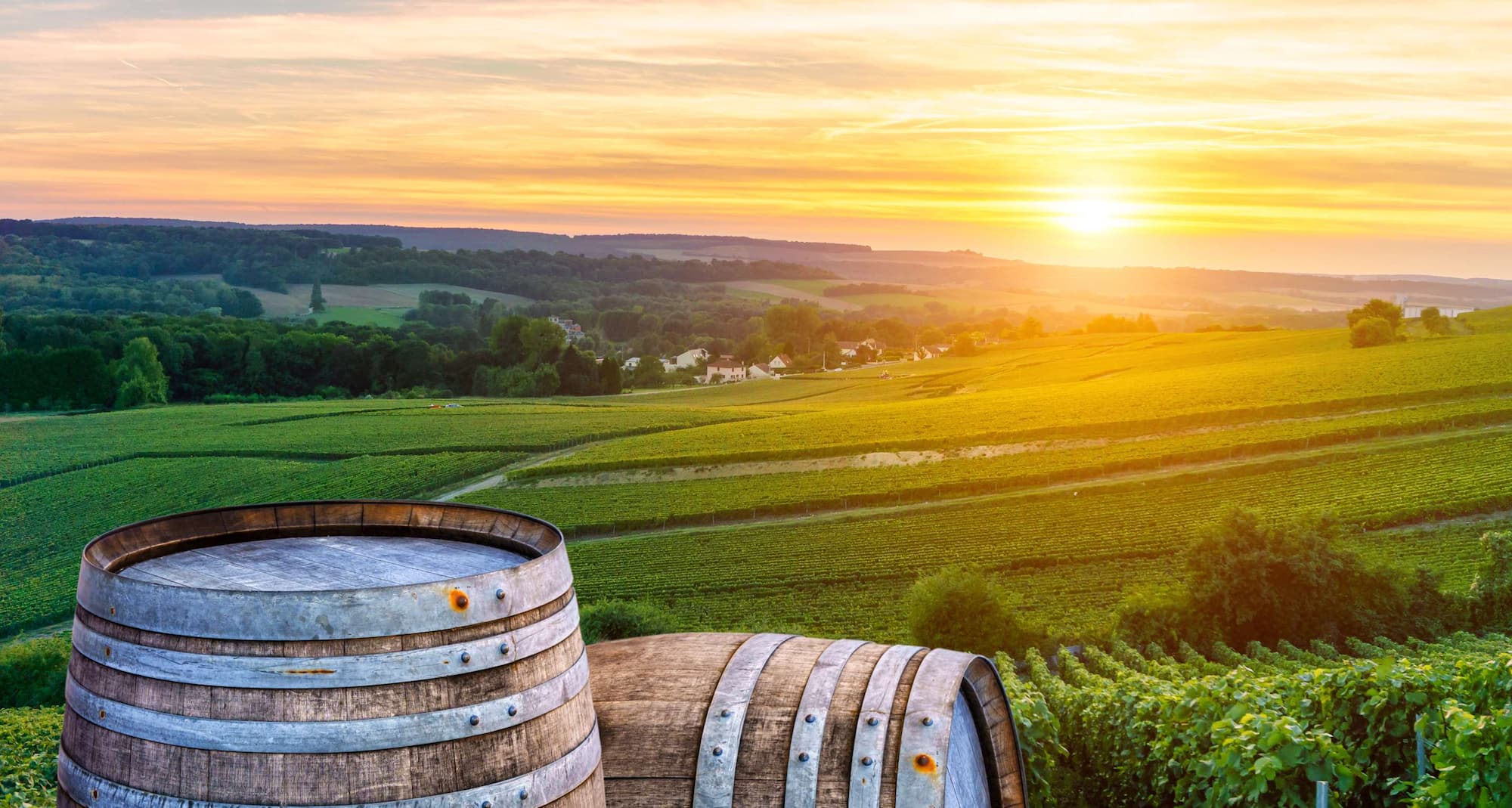 Бренд Radisson Rewards — Винный клуб 2