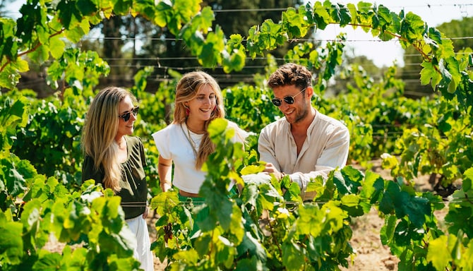 Radisson Rewards - Partners - Barcelona Sailing Cruise and Vineyard Visit with Tasting