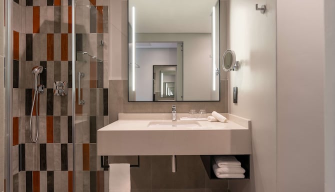 Standard Room Bathroom