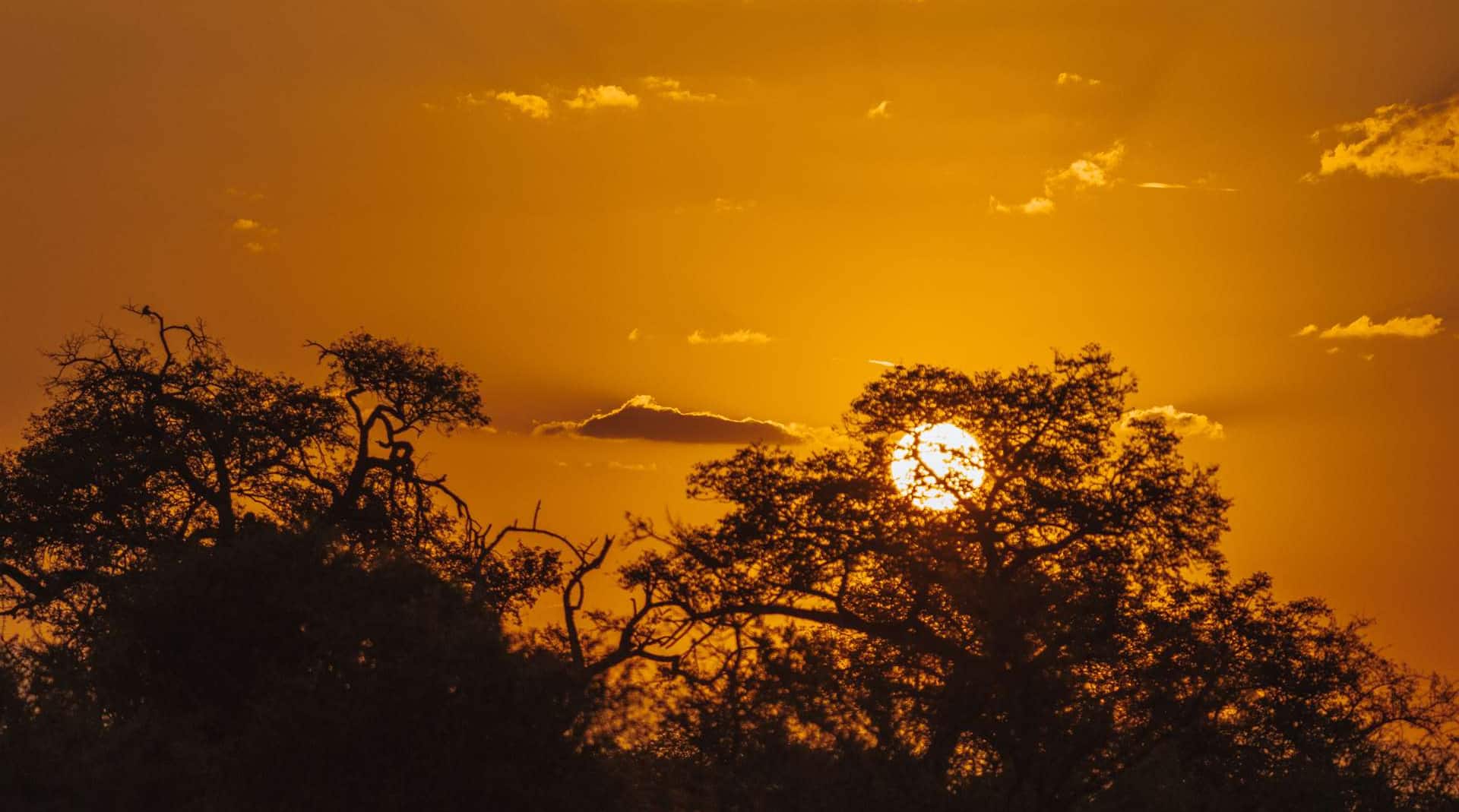 Radisson Safari Hotel Hoedspruit - Sunset Potrait