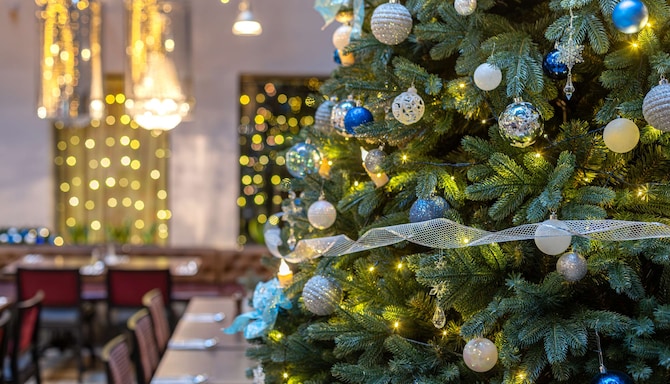 Radisson Sonya Hotel, St. Petersburg - Courtyard