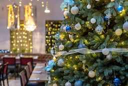 Radisson Sonya Hotel, St. Petersburg - Courtyard