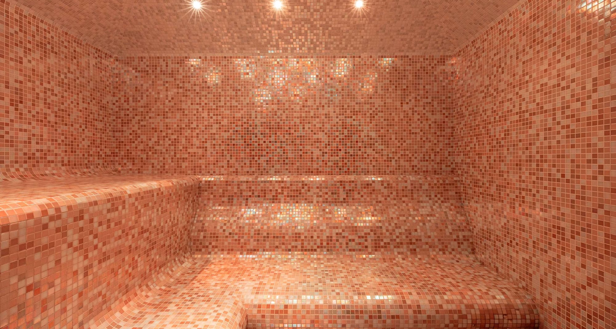 Radisson Sonya Hotel, St. Petersburg - Turkish Sauna