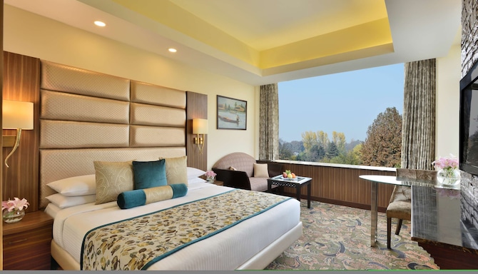 Radisson Srinagar - Business Class Room