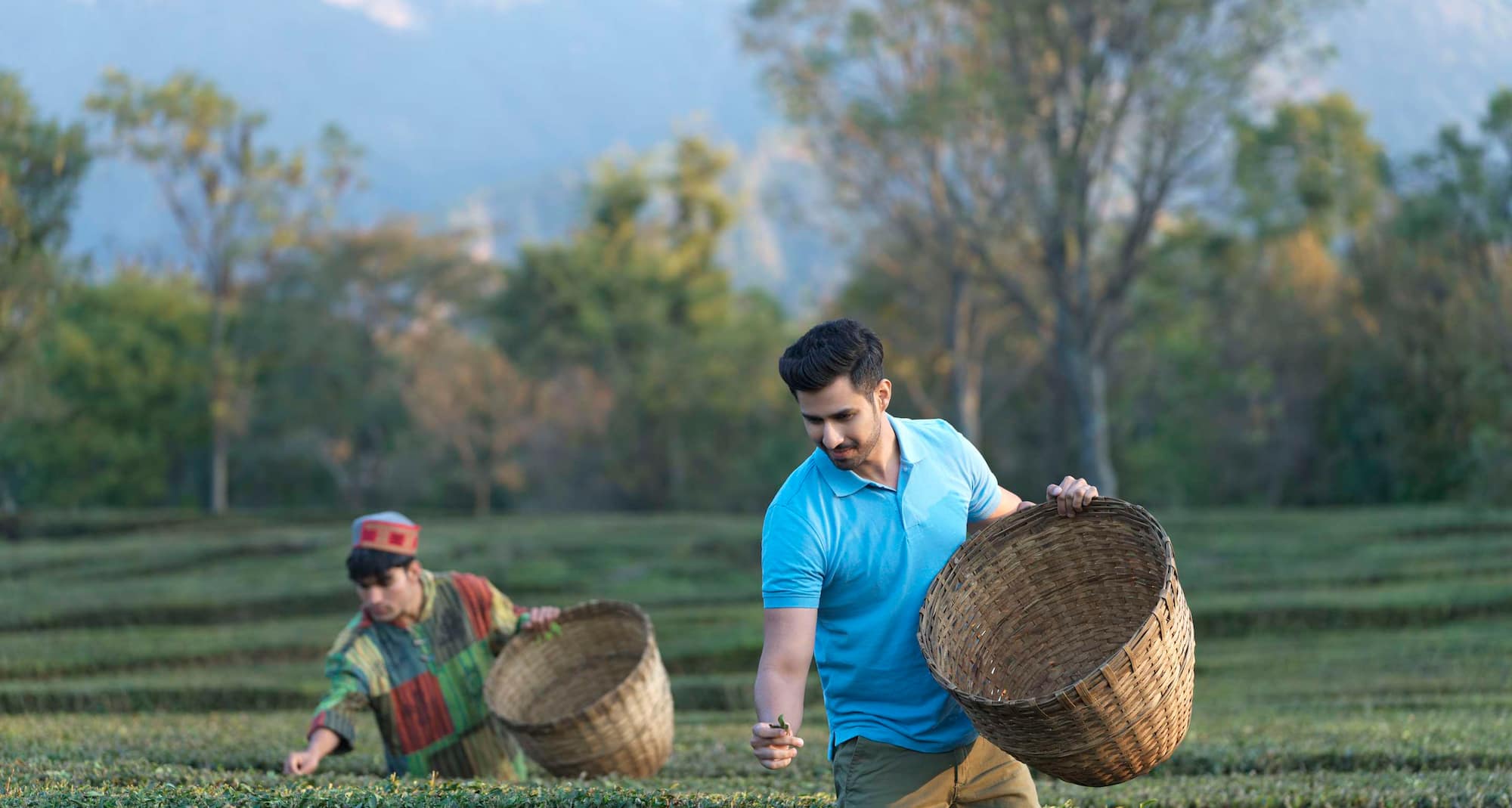 Rakkh Resort, a member of Radisson Individuals Retreats - Tea Picking