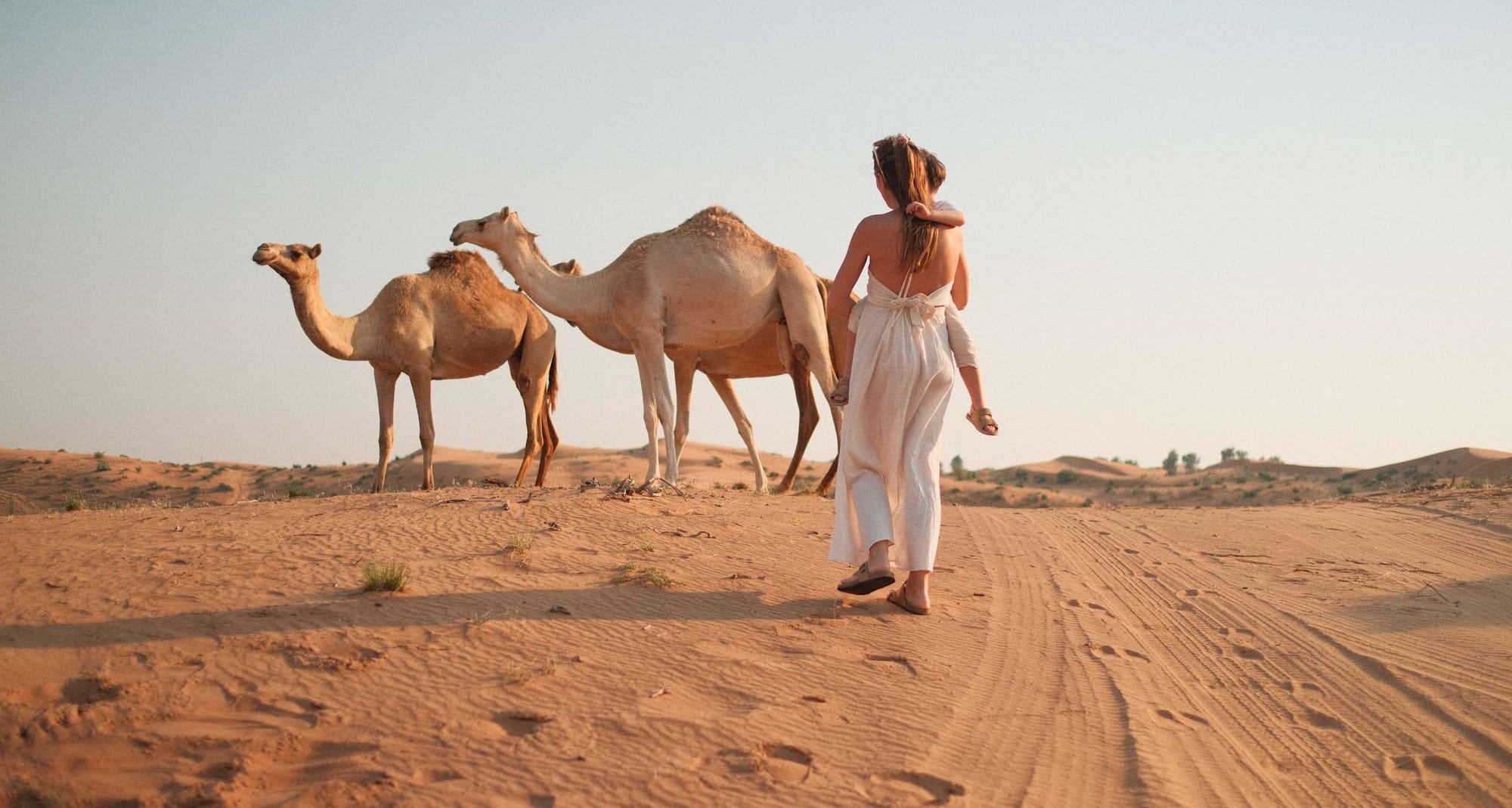 Radisson Resort Ras Al Khaimah Marjan Island