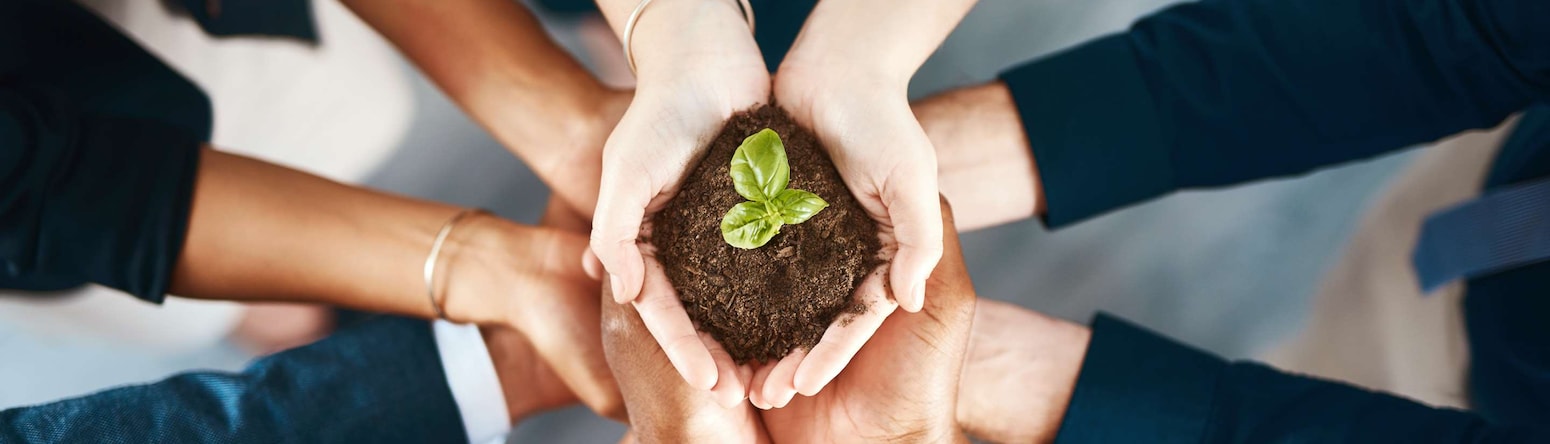 Responsible Business - corporate use only - RB Sustainable Stays Banner