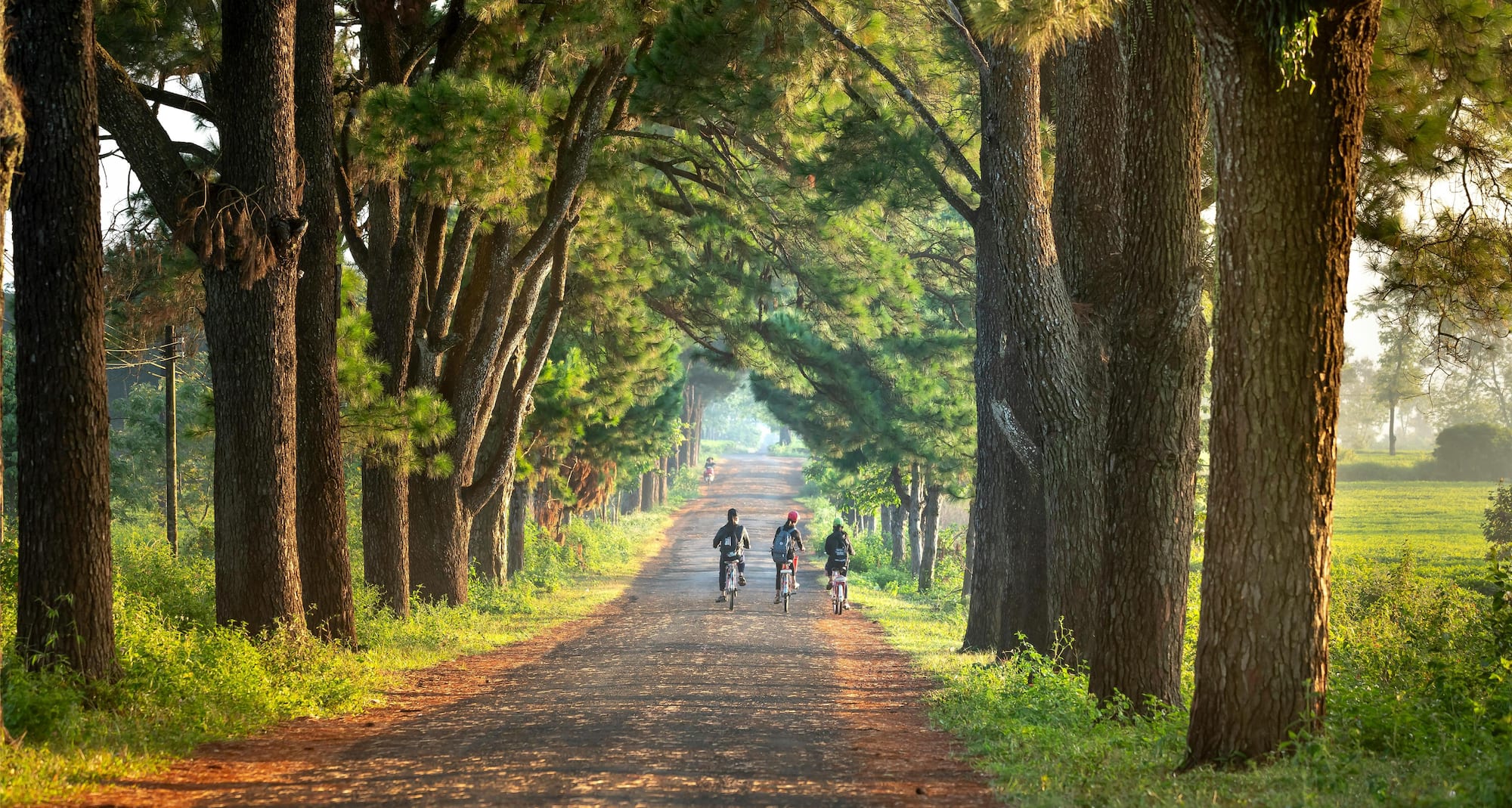 Responsible Business - Sustainability - HSB fast track