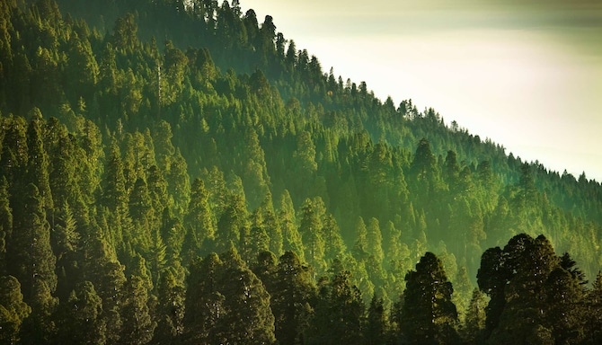 Responsible Business - Miscellaneous