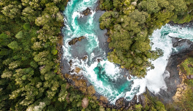 Responsible Business - Industry Pioneer