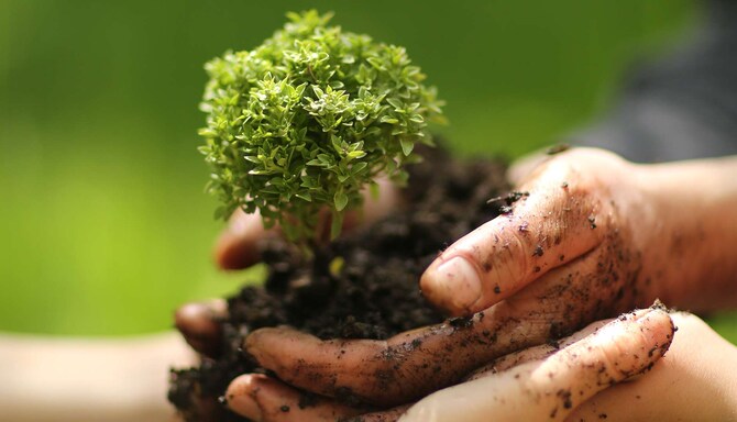 Responsible Business - RH amp THINK BRUZT June Action Month xpx Web