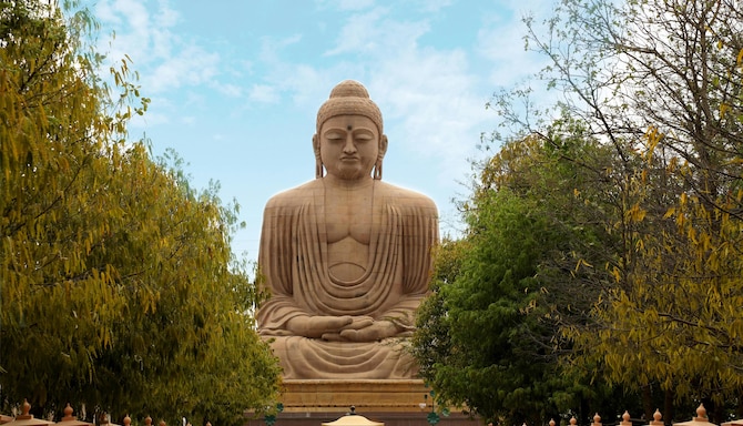 Sarovar Brand - bodhgaya