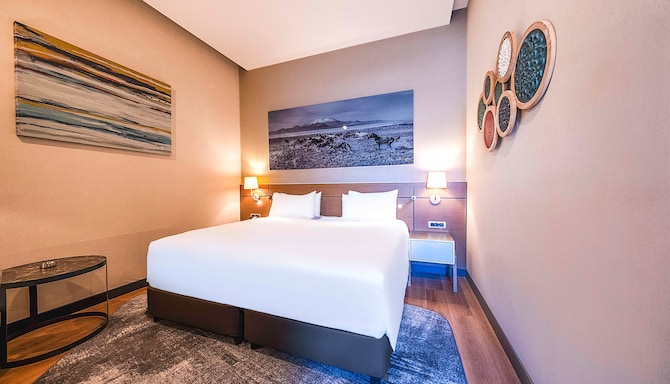 Sky Hotel Erciyes, a member of Radisson Individuals - Standard Room with balcony