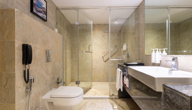 Temple Tree Hotel Shirdi, a member of Radisson Individuals - Premium Room