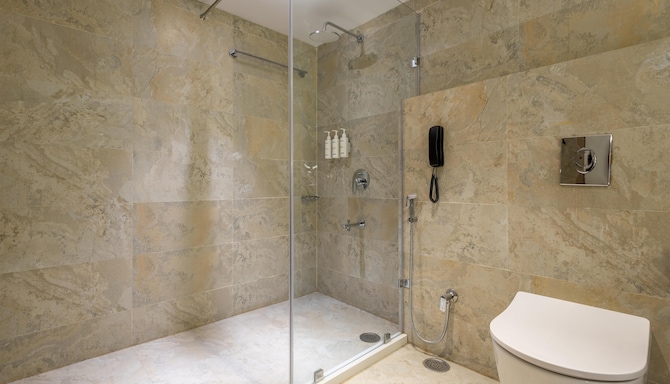 Temple Tree Hotel Shirdi, a member of Radisson Individuals - Suite Room