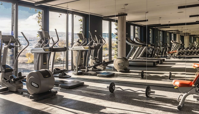Radisson Collection Hotel, Tsinandali Estate Georgia - Gym